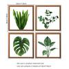 Planta en maceta ilustración pegatinas decorativas pegatinas de pared autoadhesivas al por mayor N1076 removibles transfronterizos PVC pegatinas de pared para sala de estar