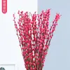 Flores Secas de Sauce Plateado Atractoras de Fortuna, Flores Reales, Ramas Frescas, Plantas Hidropónicas, Sauce Plateado Rojo, Flores de Año Nuevo, Cubo de Fortuna, Decoración Interior para Sala de Estar