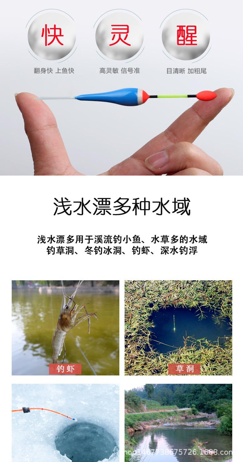 浅水-副本_02.jpg
