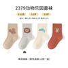 Xuwei/Meisiyuan 2026 Nuevo Producto Fuera de Línea Calcetines para Niños Calcetines de Algodón Primavera y Otoño Calcetines para Bebé Empacados Individualmente