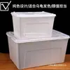Caja de Cría para Reptiles, Caja de Cría para Geckos y Serpientes con Tapa, Caja para Crías de Gusanos de Seda, Suministros para Mascotas Rana Cornuda, Tanque para Arañas e Insectos, Tanque para Tortugas, Acuario