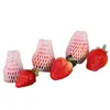 Venta Directa de Fábrica Cubierta de Malla para Fresas Cubierta Protectora Gruesa de Espuma para Frutas Bolsa de Espuma para Embalaje de Nisperos Transpirable Envío Gratis