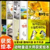 Série de Livros Ilustrados Premiados Conto de Fadas Animal 2ª Edição, 10 Volumes de Livros Ilustrados de Histórias para Crianças de 3 a 6 Anos Jardim de Infância