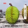 Modelo de Carne de Durian de Plástico de Simulación Adorno de Fruta Falsa King Musang Exhibición Fotografía Sala de Transmisión en Vivo Utilería de Durian Falso