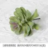 Plantación de Bonsái de Suculentas Simuladas Cuidadosamente Seleccionadas Mini Accesorios de Suculentas Falsas Terciopelo Plantas Verdes Decoración del Hogar DIY Adornos