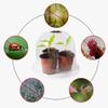Cubierta de plástico PVC transparente para plántulas, invernadero, jardinería, plantación de hortalizas, aislamiento, cubierta para plántulas, suministro de fábrica