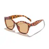 Novos Óculos de Sol Femininos Rain Anti-UV Estilo Gatinho Transfronteiriços, Óculos de Sol de Rua de Alto Padrão Europeus e Americanos