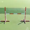 Equipamento de Treinamento de Agilidade Pista de Obstáculos Jogo Poste de Salto Suprimentos para Animais de Estimação Dispositivo de Treinamento para Cães Cor Branca Vermelha Amarela Azul