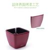 Laizhixiu maceta autoabsorbente cuadrada de escritorio para plantas carnosas de plástico con acabado de pintura al horno Rosa verde maceta autoabsorbente para gente perezosa venta al por mayor