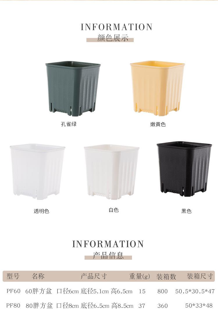 胖方盆_06