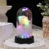 Luz Noturna de Flores Secas de Natal Nova para Outono e Inverno Cobertura de Vidro Presente de Rosa Flor de Sabão Eterna Decoração Criativa para Mesa