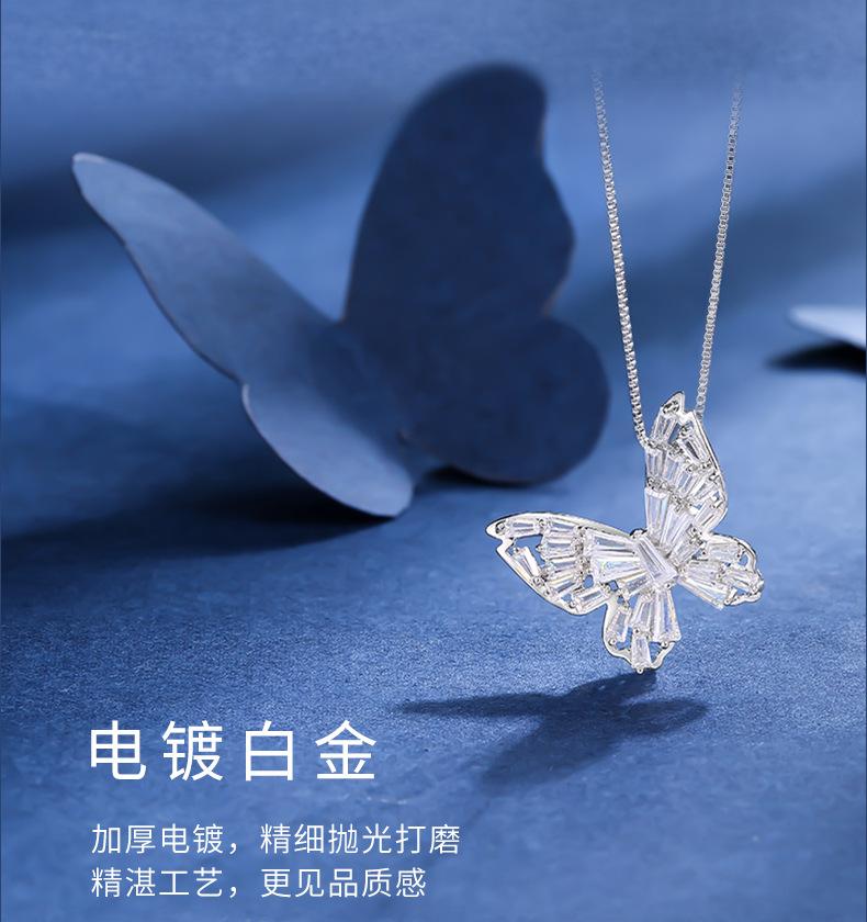 蝴蝶_07.jpg