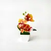 Nova Flor de Alta Simulação 4 Phalaenopsis Pequena Planta em Vaso Flores Brancas Bacia para Pés Sala de Estar Sala de Jantar Decoração de Mesa Flor Artificial