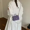 Bolsa de Mão Pequena Quadrada Acolchoada Única para Mulheres 2026 Novo Modelo Bolsa Transversal de Corrente Versátil Simples Bolsa de Ombro Estilo Chanel