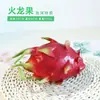 Modelo de Fruta de Simulación Verdura y Fruta de Plástico Decoración de Granja Adornos para Frutería Adornos de Atrezo de Frutas y Verduras Falsas