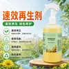 Regenerador de Ação Rápida Fertilizante Solúvel em Água Altamente Eficaz Solução Nutricional Molecular Orgânica Fertilizante para Flores de Uso Geral Planta em Vaso Fortuna e Riqueza