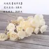 Varetas Difusoras de Aromaterapia com Aroma Floral, Varetas Difusoras de Perfume DIY, Perfume de Água Floral, Difusor de Óleo Essencial