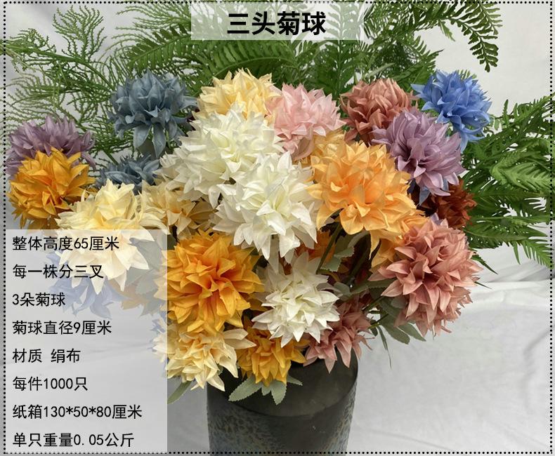 产品信息图-1