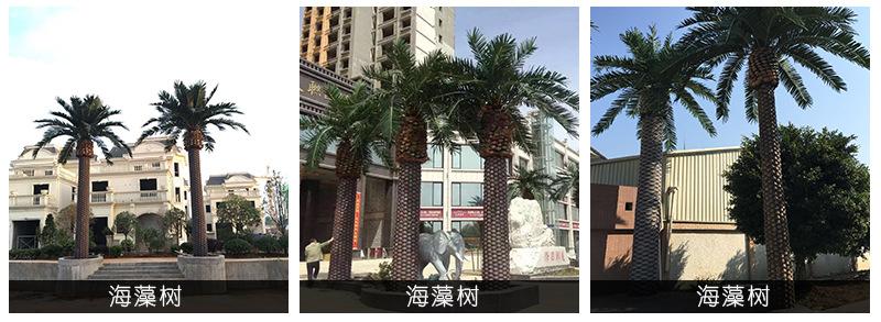 详情_16