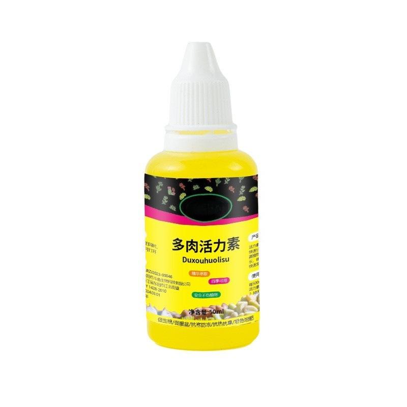 O1CN01B0vU3b2KEVSQ8pimj_!!2216