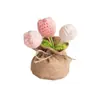 Tulipa de Lã Tricotada à Mão Decoração de Mesa Flores em Vaso para Melhores Amigas Flores Artificiais Tricotadas Criativas Enfeites de Presente