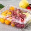 Caja Desechable Engrosada para Frutas y Verduras con Tapa, Caja Transparente de Plástico Comercial para Yaca Sandía Grado Alimenticio Conservadora
