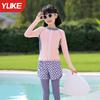 Traje de Baño para Niños Niños 2025 Nuevo Manga Larga Protección Solar Traje de Baño Dividido Adolescentes Niños Medianos y Grandes Traje de Baño para Niños Verano