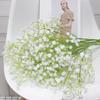 Spray Único Cor Gypsophila Flor Artificial Plástico Imortal Gypsophila Gypsophila Cor Gypsophila Casa Decoração de Casamento Interior