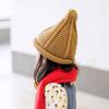 INS Chapéu de Lã Japonês e Coreano Masculino e Feminino com Ponta Chapéu de Tricô Quente para Pais e Filhos Ponto de Ida e Volta Chapéu de Bico para Crianças