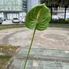 Simulação rosa palma sentir flamingo garça 3D sentir pequena palma vermelha palma branca casamento simulação flor macia casa flor artificial atacado