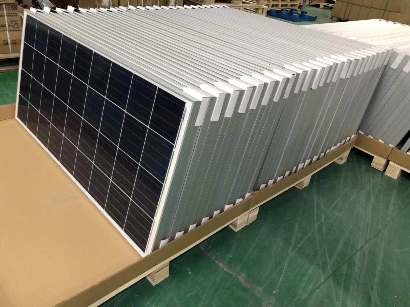 2023_06_14_09_16_IMG_6989