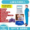 Taladro Falso Enseñar Mitad del Cuerpo Humano Primeros Auxilios Goma Humano Simulador de Reanimación Cardiopulmonar Modelo Humano Modelo de Cuerpo Completo Otros