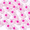 Acrílico Transparente Cor Interna Ameixa Flor Bead Cor Média Bead Straight Hole Flower diy Pulseira Colar Bolsa Frisado Acessórios