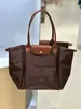 Bolso Tote de Nylon Longchamp Calidad Original para Mujer, Bolso Plegable Tipo Dumpling, Bolso de Hombro de Gran Capacidad, Ligero