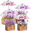 Parasol Popular para Plantas de Amazon Modelo Mejorado Parasol Ajustable para Exteriores Jardín Macetas