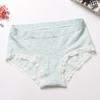 Ropa interior de mujer de algodón con borde de encaje de color natural sin costuras, cintura media, cintura alta de algodón de alta elasticidad [entrega de una sola pieza] fabricante