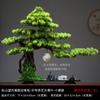 Novos Enfeites de Planta em Vaso Pinheiro de Boas-Vindas Estilo Chinês Decoração de Paisagem Zen para Entrada de Casa Sala de Estar Mesa de Escritório