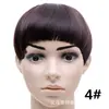Franja Postiça, Aplique de Cabelo Realista, Franja Grossa, Franja Lateral, Presilha de Franja para Testa, Estilosa, Multicor, Franja Alargada e Espessada