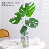 Planta Hidropônica Monstera Planta Verde Purificação do Ar Interno Ave do Paraíso Folha Grande Folhagem Perene de Interior Vaso Tronco Velho