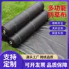 Tela Anti-Maleza Directo del Fabricante, Tela Anti-Envejecimiento para Control de Malezas en Huertos y Jardinería, Tela Negra para Control de Malezas Agrícola en Invernaderos