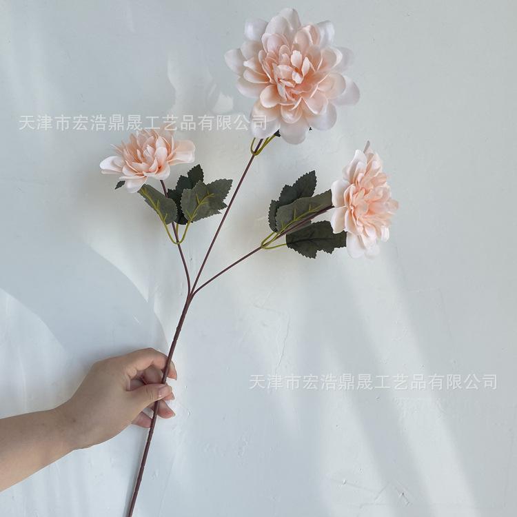 微信图片_202208111652103_副本