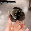 Pinza de Garra de Flor de Cristal de Organza Versátil de Temperamento Nuevo para Mujer Ligero de Lujo Pinza para Mechones Sueltos de la Frente Pinza de Media Recogida de Alta Gama Accesorios para el Cabello