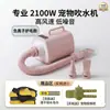 Bestseller internacional: Secador de cabelo doméstico de alta potência de secagem rápida, máquina de secagem de baixo ruído para banho, secador de animais de estimação para gatos e cães