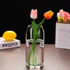 Jarrón de Vidrio Transparente Moderno y Sencillo Estilo Ins Flores Hidropónicas y Plantas Verdes Adornos para Arreglos Florales Micro Paisaje Botella Ecológica
