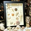 Estrutura de Moldura Oca 3D DIY Porta-Retrato Artesanal Suporte de Exibição para Plantas, Conchas, Argila, Flores Secas Conservação e Exibição