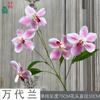 26 Años de Materiales de Flores Rosadas, Diseño de Rendimiento Comercial, Flores Falsas para Sesión de Fotos de Boda Romántica, Flores de Seda para Decoración Suave