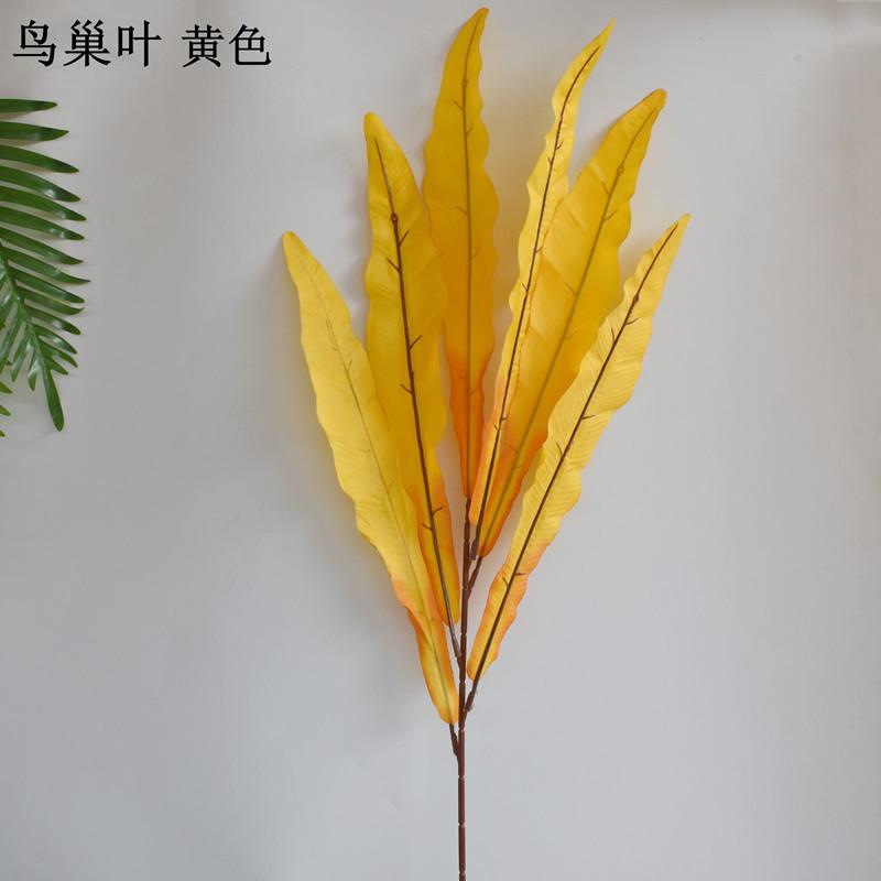 微信图片_20211013222704