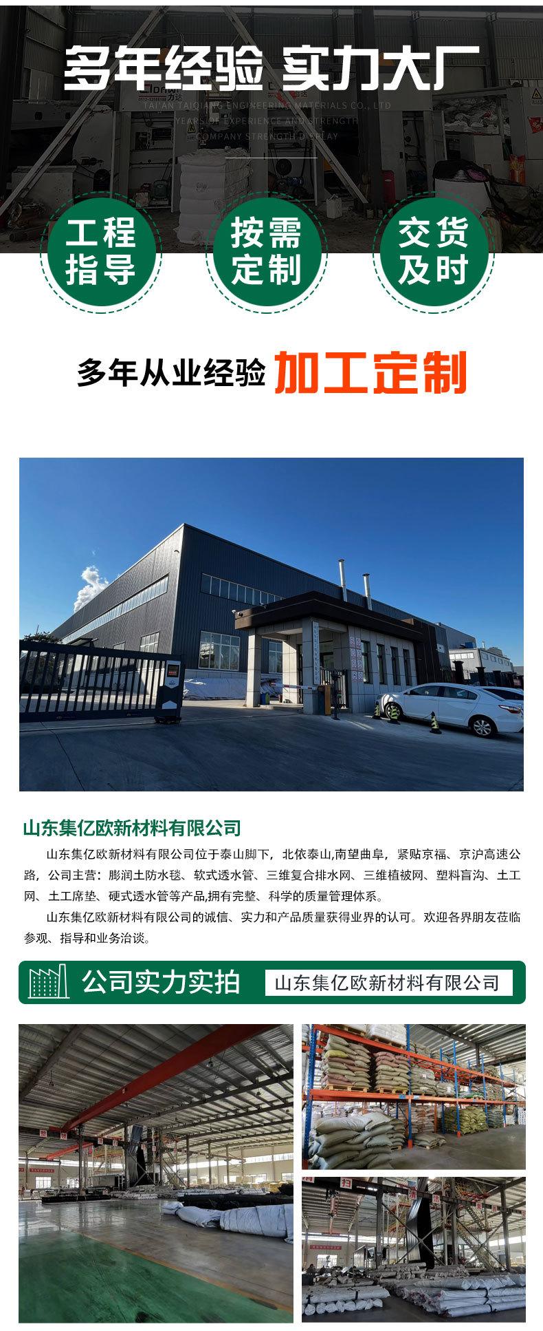 钢塑土工格栅_06.jpg