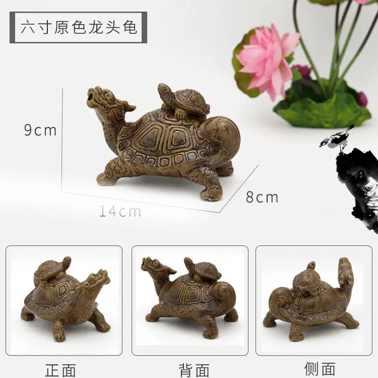 六寸原色龙头龟
