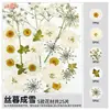 Paquete de Materiales DIY de Flores Secas Flores Prensadas Hechas a Mano Flores Conservadas Marcadores de Libros de Flores Prensadas Hojas de Árbol Real Plantas Pegatinas de Resina Maquillaje Facial